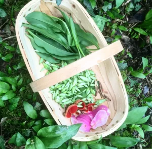 Foraging in Cornwall, with Emma Gunn